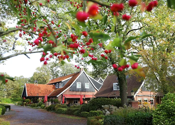 Het Ros van Twente De Lutte