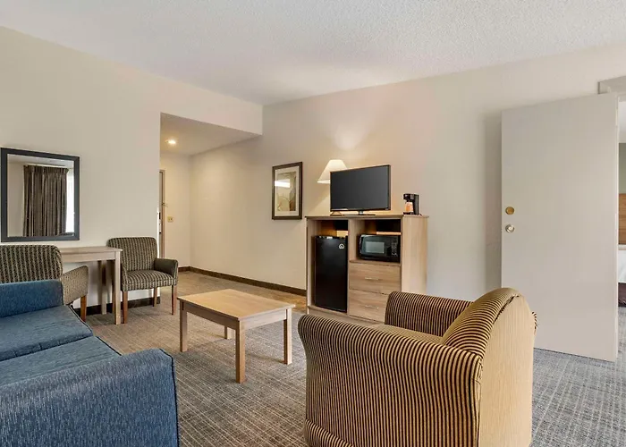 Quality Inn & Suites Nrg Park - Medical Center Houston