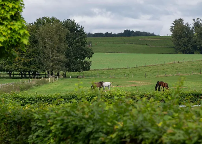 B&B Bertem Natuur