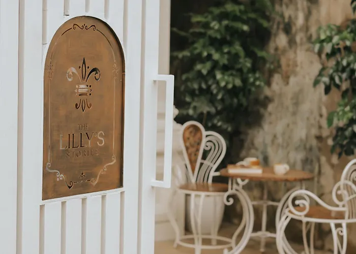 The Lilly'S Stories