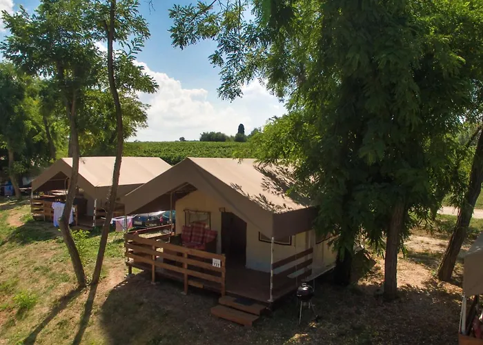 Sunflower Camping Mareda