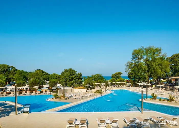 Sunflower Camping Mareda