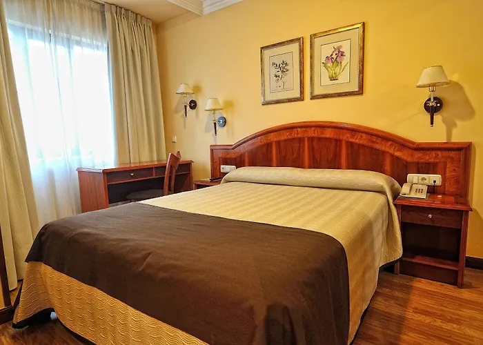 Hotel Alisi Aranda de Duero