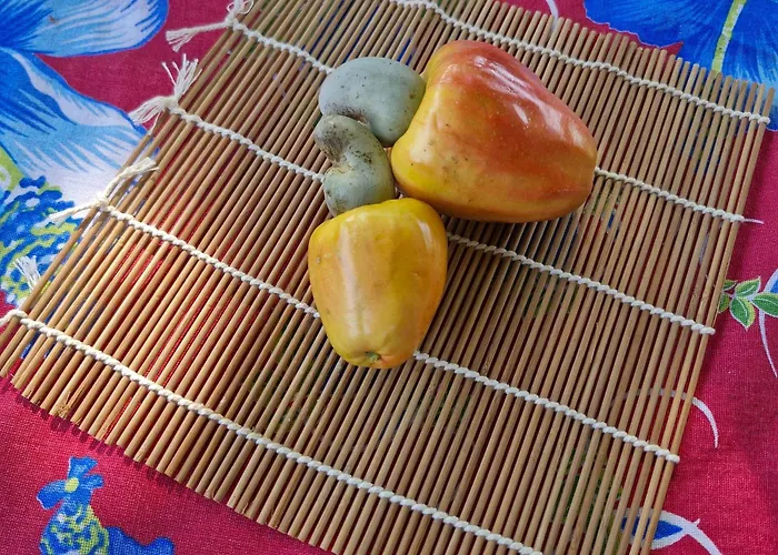 Pousada Sorriso da Mata..