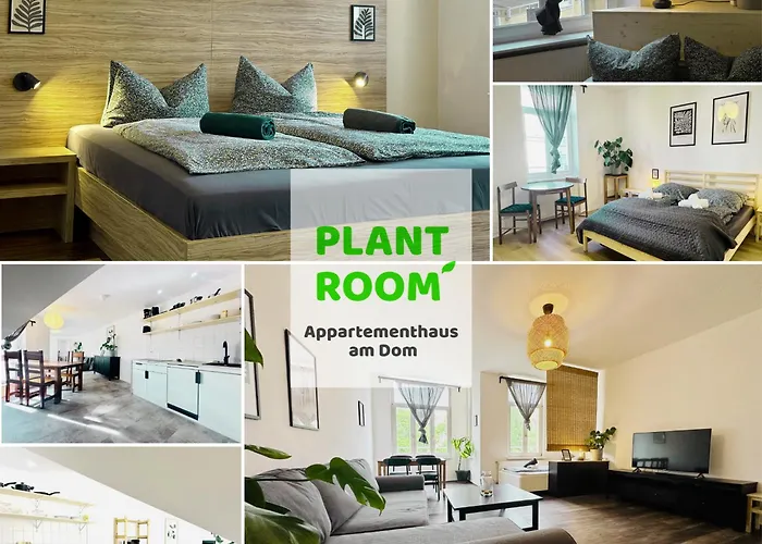 Apartmenthaus am Dom - Küche, Wifi, TV Halle 