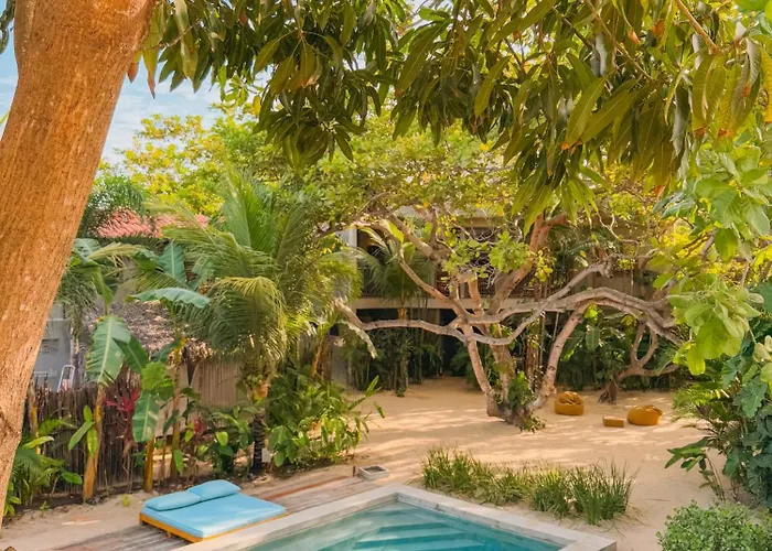 Villa Mango Jeri