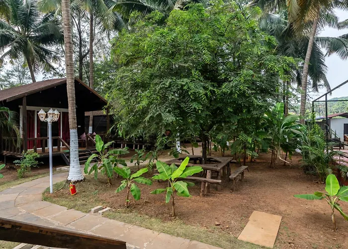 The Exotica Agonda