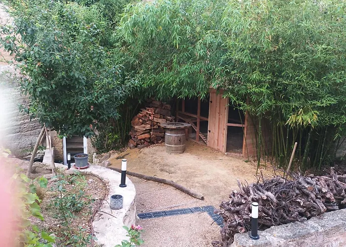 Les dodos de Rose