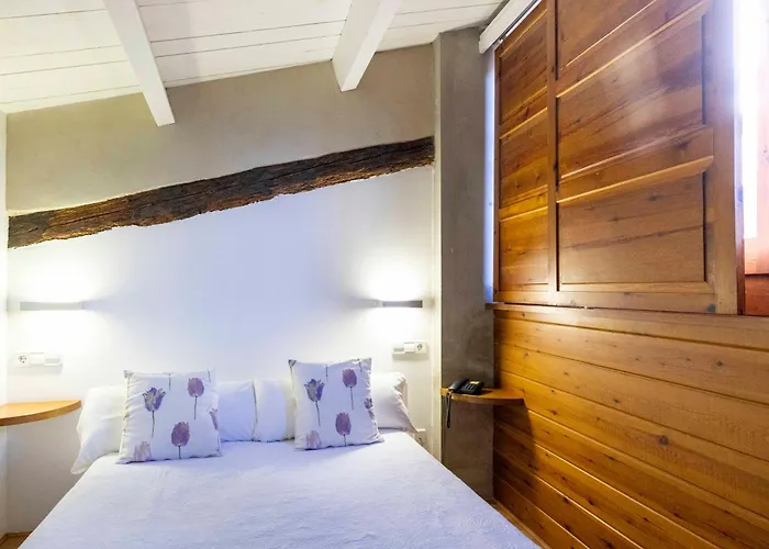 Hotel La Freixera Solsona