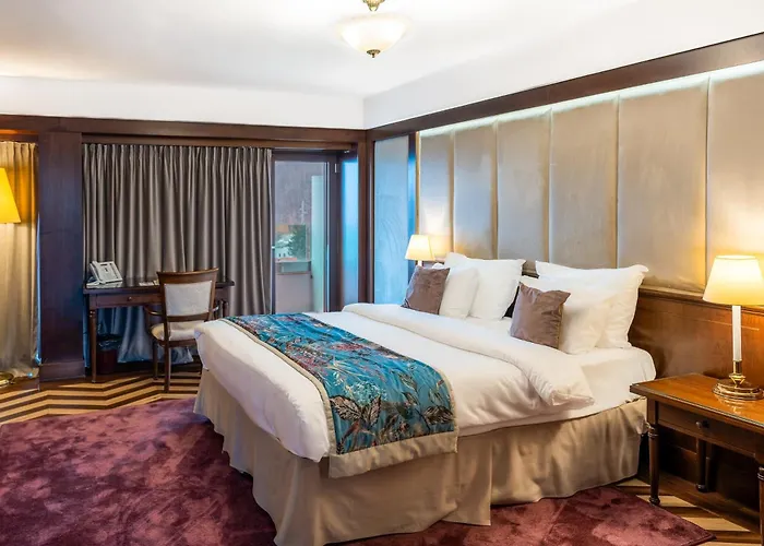 Hotel International
