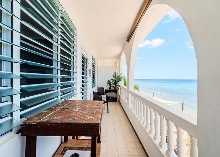 Coconut Palms Rincon