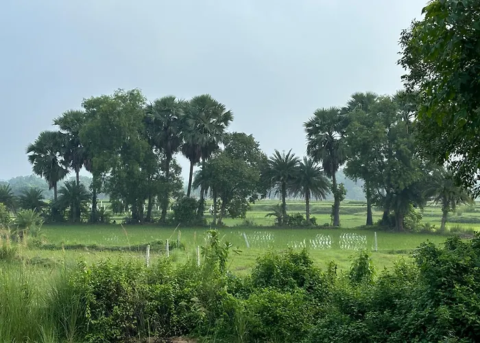 Tanubithi Resort