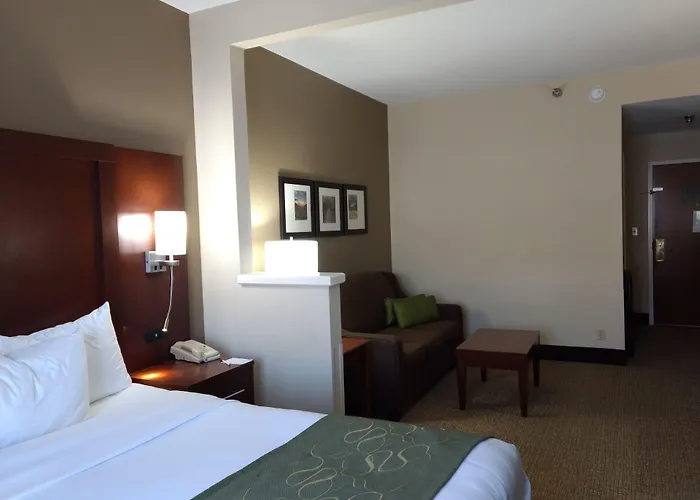 Comfort Suites Johnson City Near University