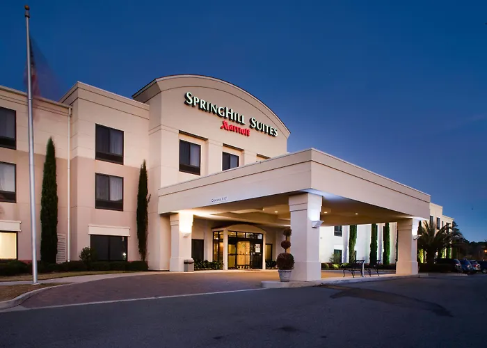 Springhill Suites By Marriott Savannah I-95 South Georgetown