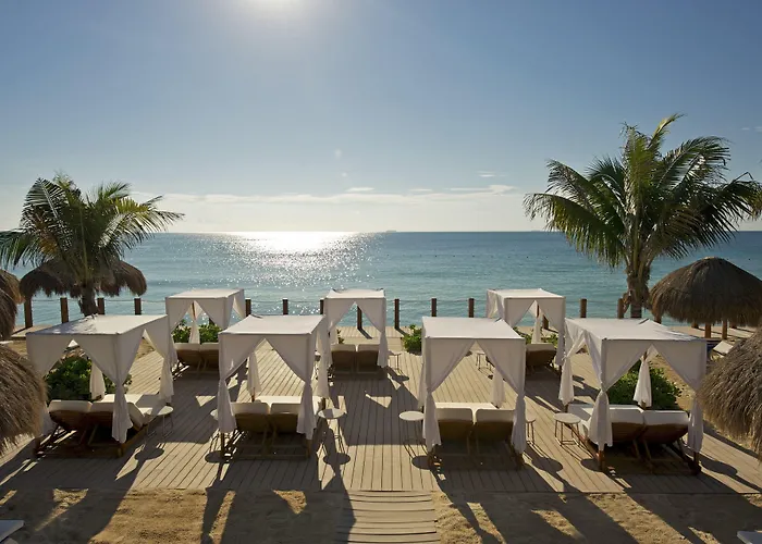 Ocean Maya Royale Adults Only