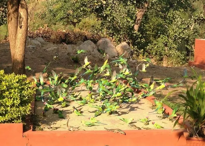 Roopam Resort Ranakpur