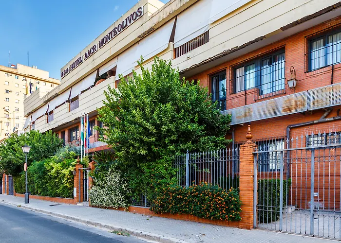 Aacr Hotel Monteolivos