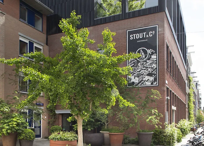 Stout & Co.