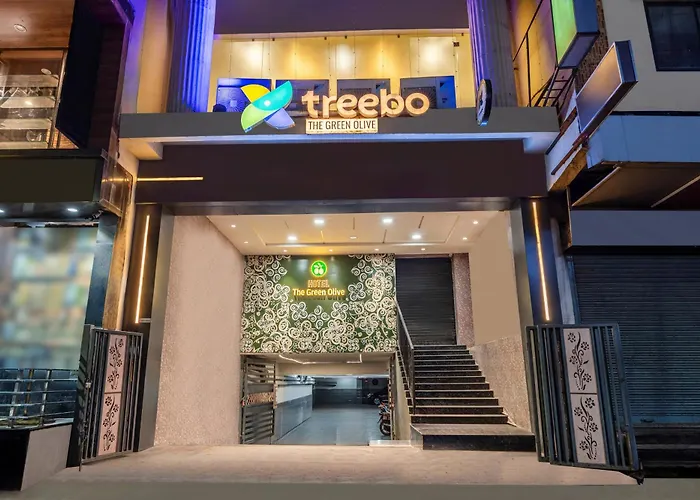 Treebo Green Olive