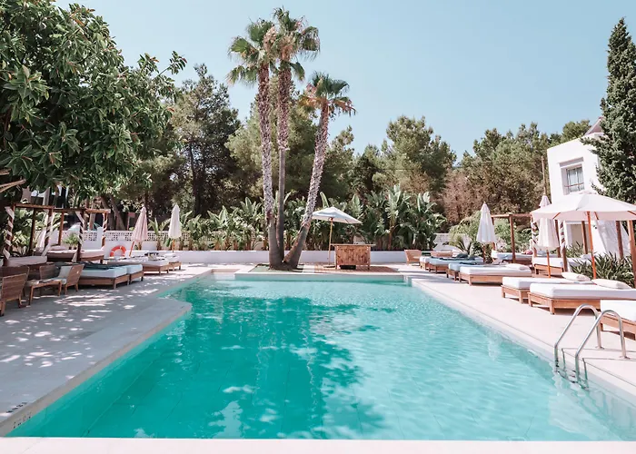 Hotel Boutique & Spa Las Mimosas Ibiza (Adults Only) San Antonio 