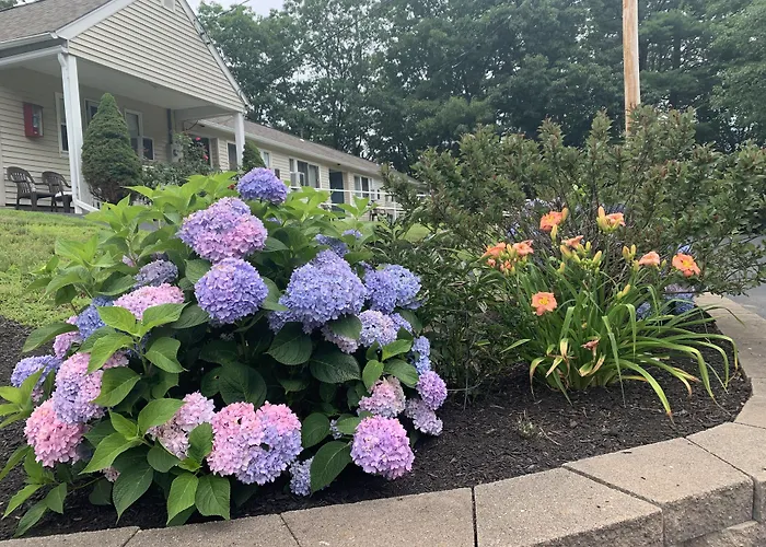 Northeaster Motel