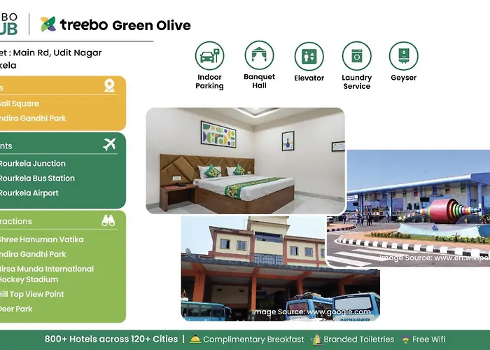 Treebo Green Olive