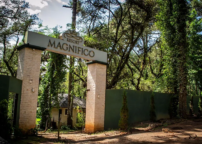 Resort Magnífico Monte Verde 