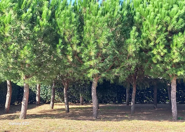 Giardini Irlandesi B&B Ruffano