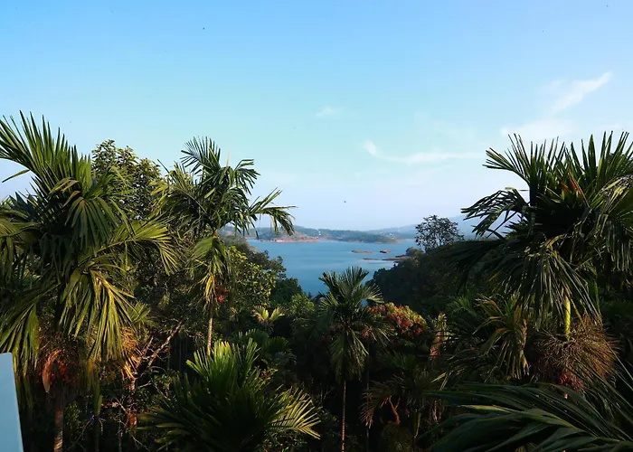 Bonita Banasura