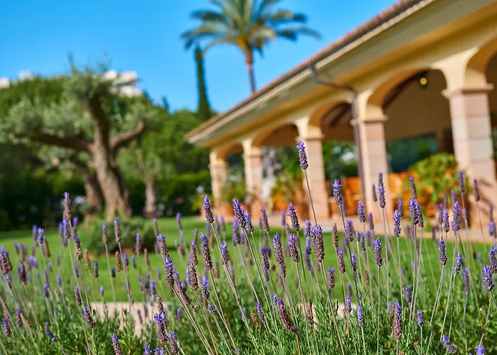 Cm Mallorca Palace - Only Adults