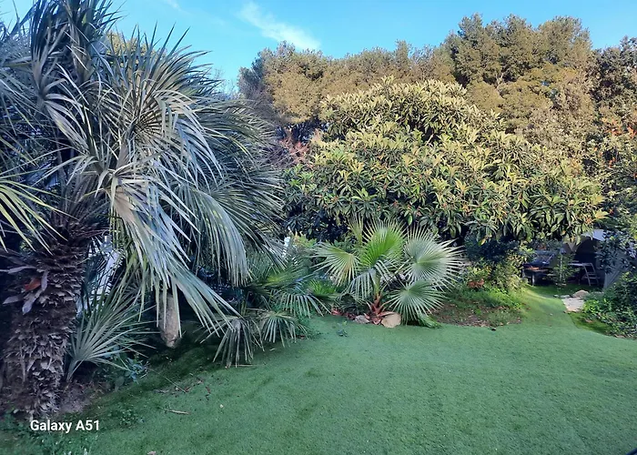 La Palmeraie