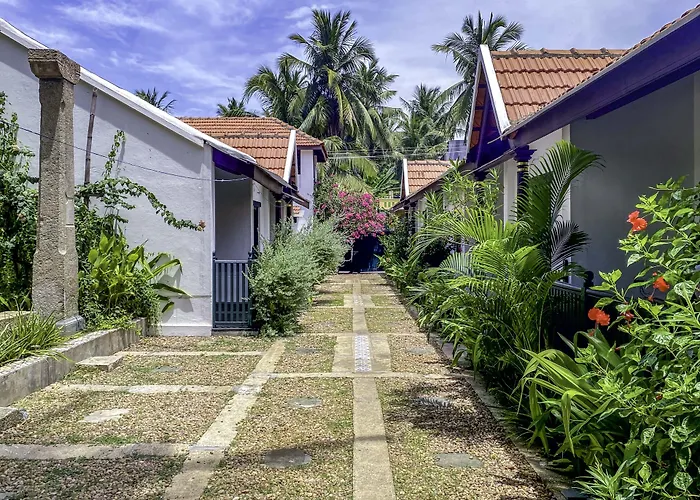 Neemrana'S Coconut Alley