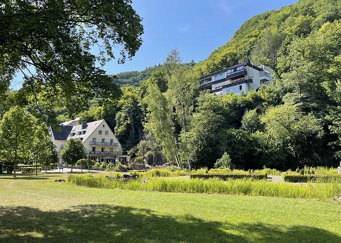 Hotel Alte Muehle Bad Bertrich