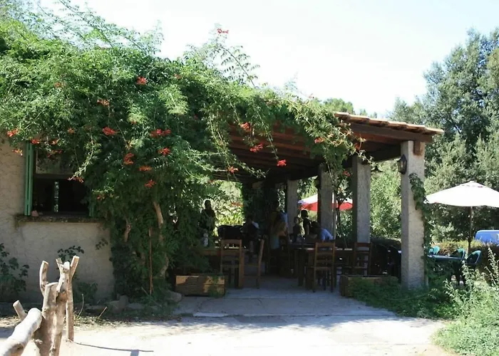Auberge De La Foret Bonifatu