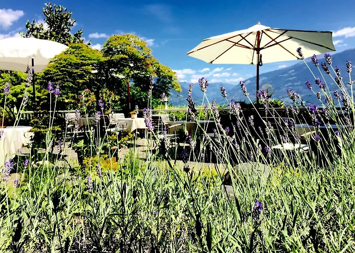 Hotel Braunsbergerhof