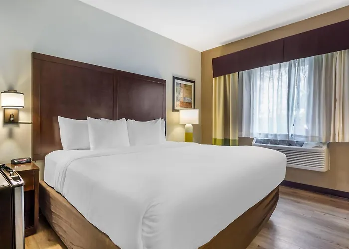 Comfort Inn Federal Way - Seattle