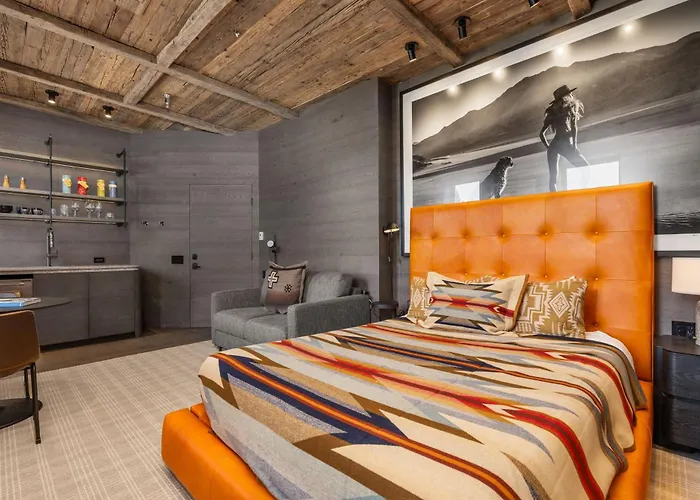 Independence Square 300, Newly Renovated Studio In Downtown Aspen, W/ Rooftop & Hot Tub