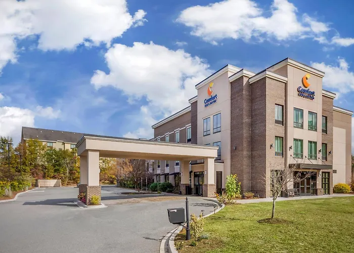 Comfort Inn & Suites Florence Center Area