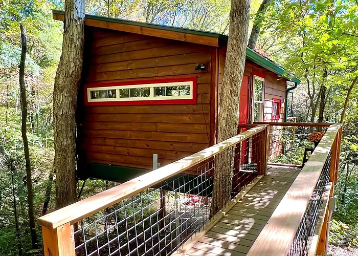 Dreamy Treehouse Getaway Dog Friendlydisc Golf