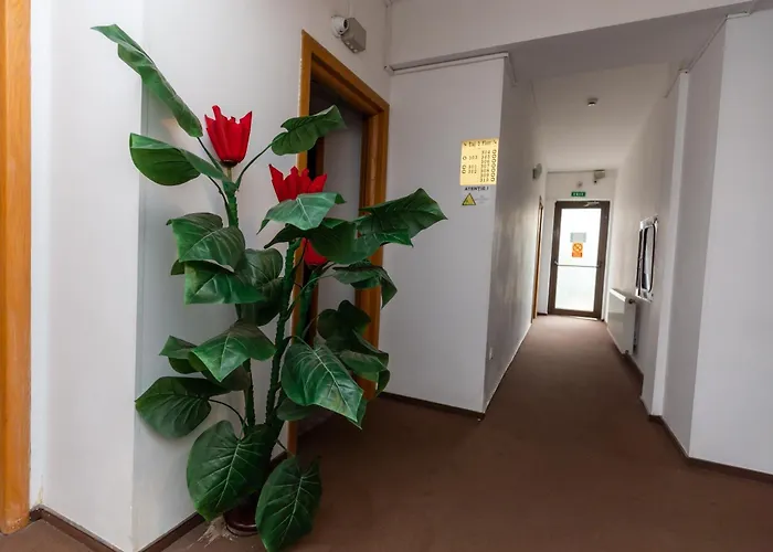 Hotel Sir Colentina Bucarest