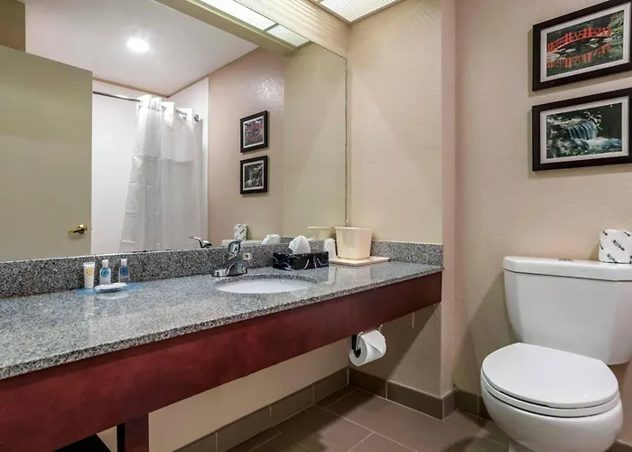 Comfort Inn Birmingham - Irondale