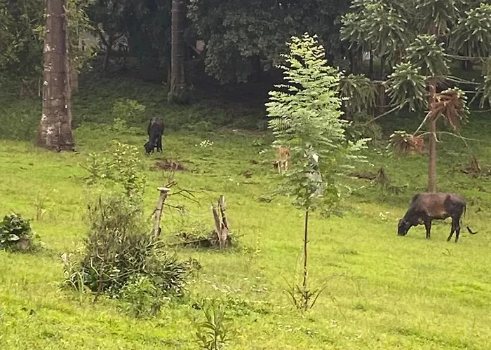 Pousada Sao Luiz - Monte Verde