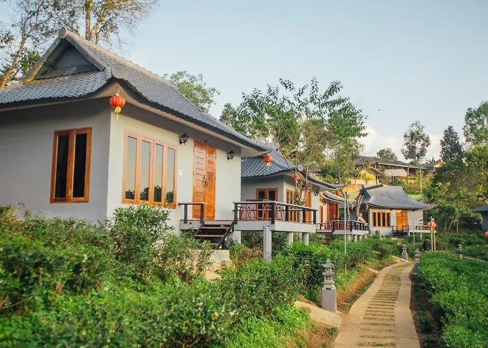 Chenfong Rakthai Resort-ไร่ชาเฉินฟงรีสอร์ท