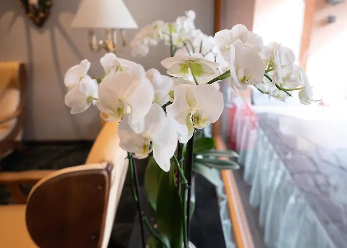 Hotel Garni Haus Arenberg Salzburg