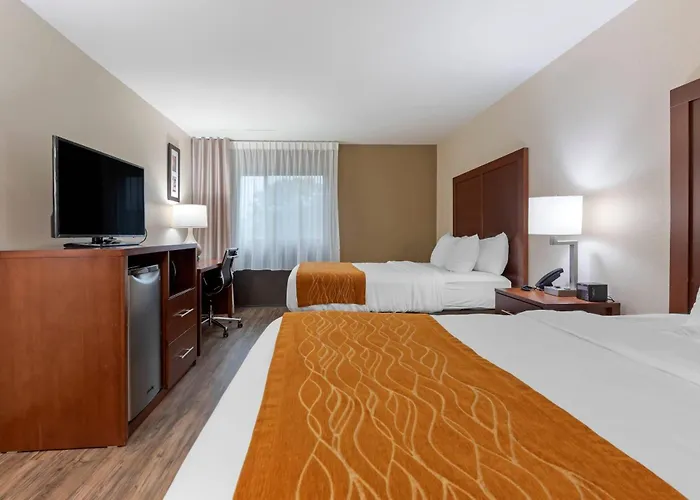 Comfort Inn Binghamton I-81