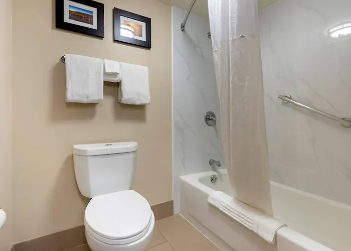 Comfort Inn Binghamton I-81