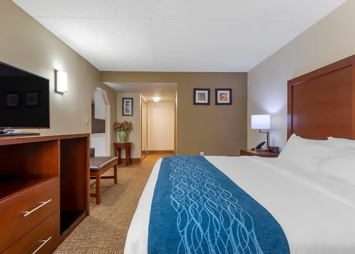 Comfort Inn Binghamton I-81
