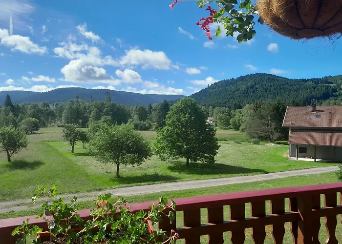 Chalet Gérardmer situé a LE THOLY