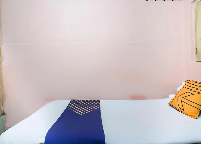 Spot On 65100 Delhi Lodge