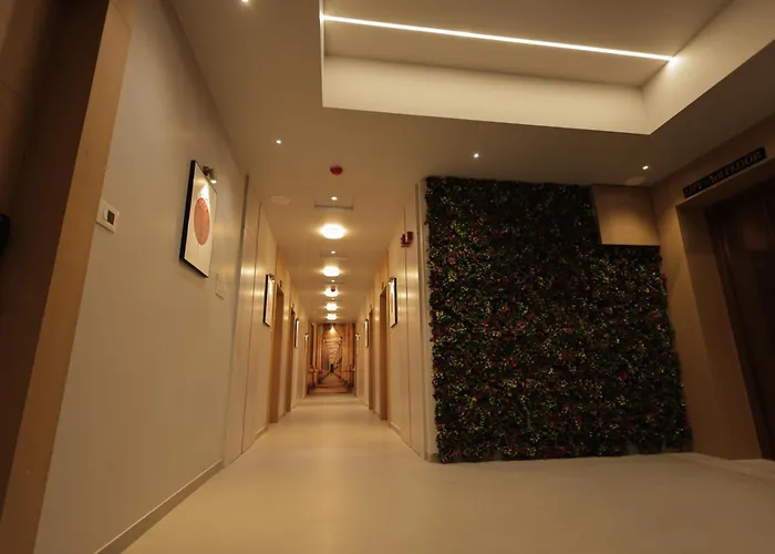 Balaji Hotel